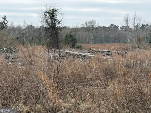 $1,115,220 | 0 Eagle Pond / Old Smithville Road, Smithville, GA 31787