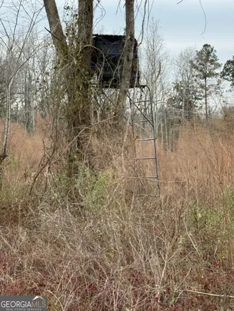 $1,115,220 | 0 Eagle Pond / Old Smithville Road, Smithville, GA 31787