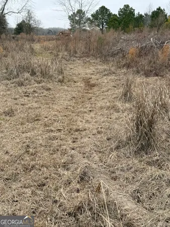 $1,115,220 | 0 Eagle Pond / Old Smithville Road, Smithville, GA 31787