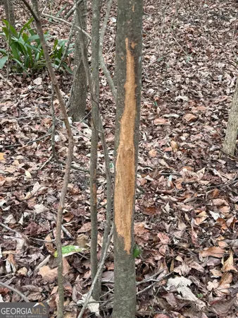 $1,115,220 | 0 Eagle Pond / Old Smithville Road, Smithville, GA 31787