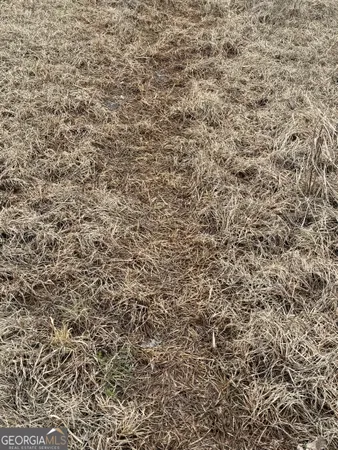 $1,115,220 | 0 Eagle Pond / Old Smithville Road, Smithville, GA 31787