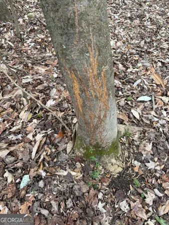 $1,115,220 | 0 Eagle Pond / Old Smithville Road, Smithville, GA 31787