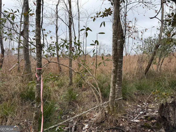 $1,115,220 | 0 Eagle Pond / Old Smithville Road, Smithville, GA 31787