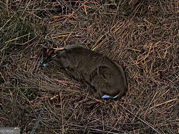 $1,115,220 | 0 Eagle Pond / Old Smithville Road, Smithville, GA 31787