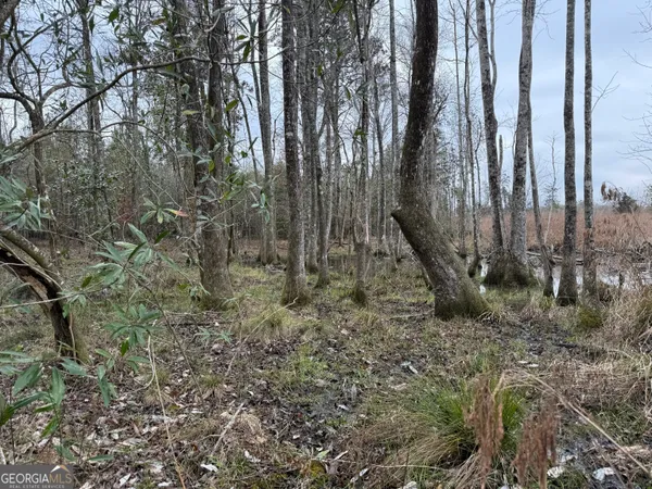 $1,115,220 | 0 Eagle Pond / Old Smithville Road, Smithville, GA 31787