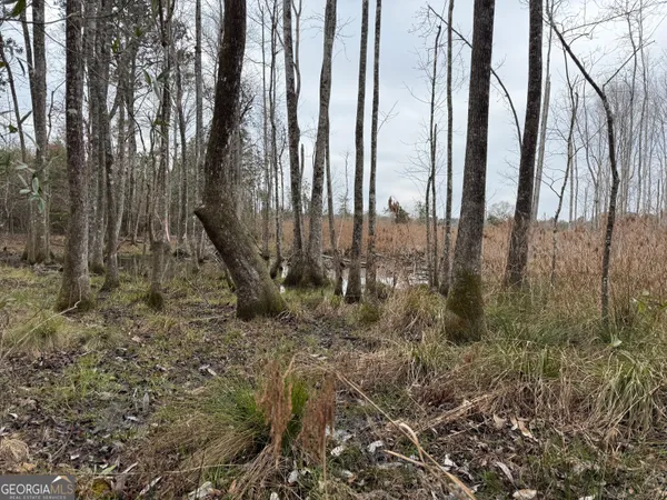 $1,115,220 | 0 Eagle Pond / Old Smithville Road, Smithville, GA 31787