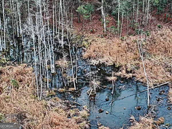 $1,115,220 | 0 Eagle Pond / Old Smithville Road, Smithville, GA 31787