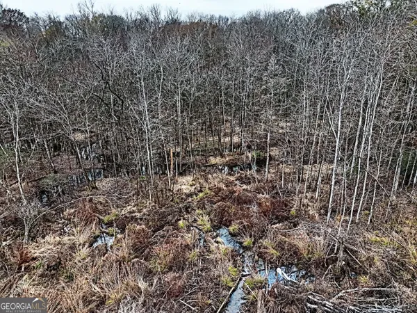 $1,115,220 | 0 Eagle Pond / Old Smithville Road, Smithville, GA 31787