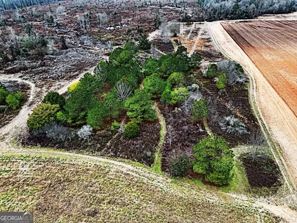 $1,115,220 | 0 Eagle Pond / Old Smithville Road, Smithville, GA 31787