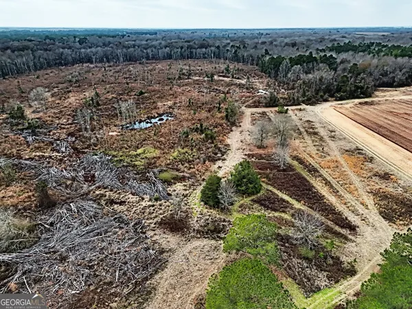 $1,115,220 | 0 Eagle Pond / Old Smithville Road, Smithville, GA 31787