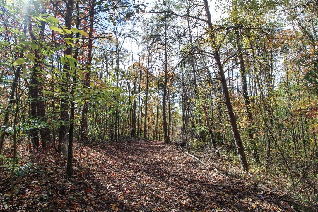 0 Pleasant Ridge Road Graysville, OH 45734 - Photo 21 of 32 View of mother earth's splendor