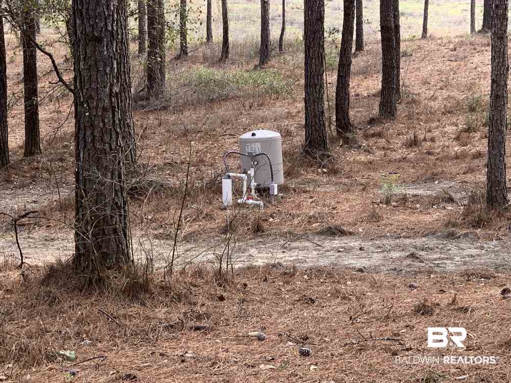 17525 Joe Gottler Road Elberta, AL 36530 - Photo 29 of 44