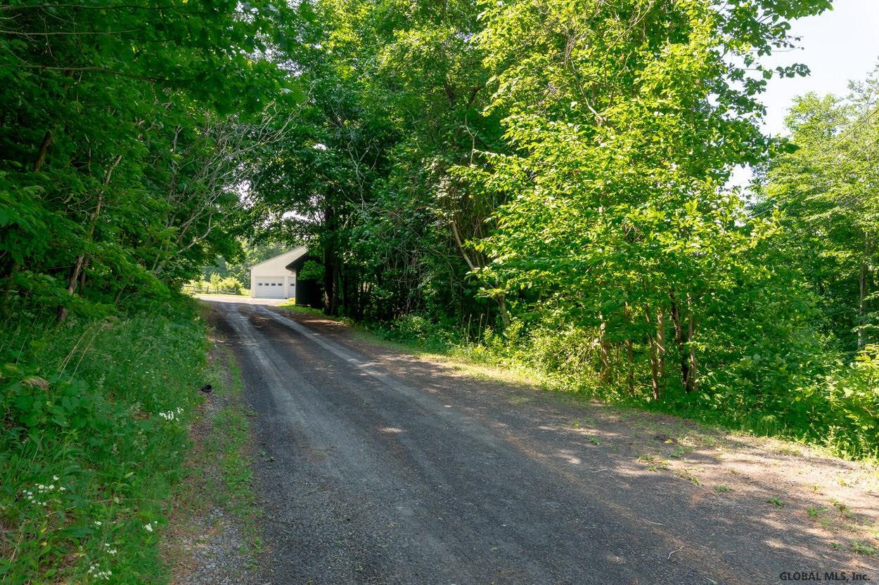52 Simons Road Berne, NY 12023 - Photo 4 of 54 Photo 4