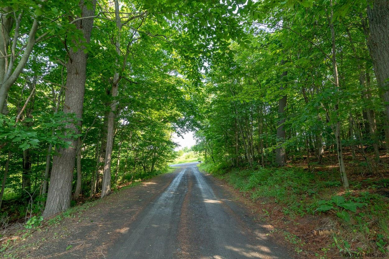 52 Simons Road Berne, NY 12023 - Photo 54 of 54 Photo 55