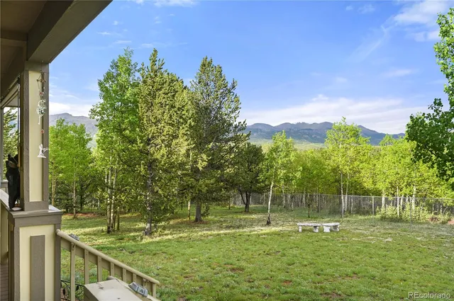 a view of a park with large trees