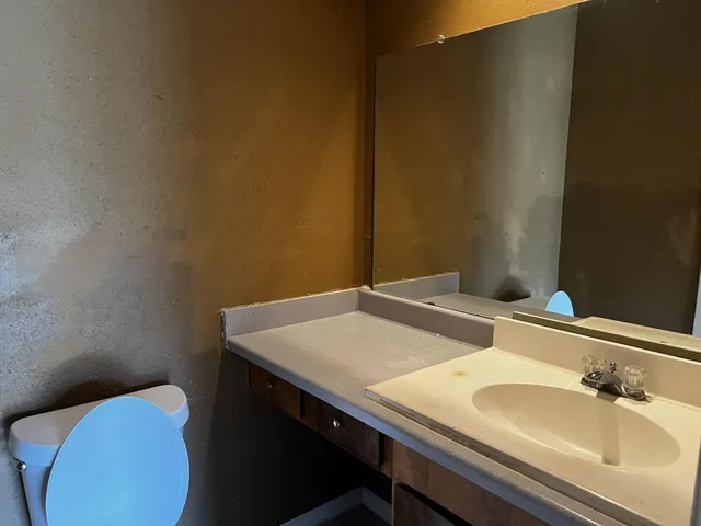 a bathroom with a sink and a toilet