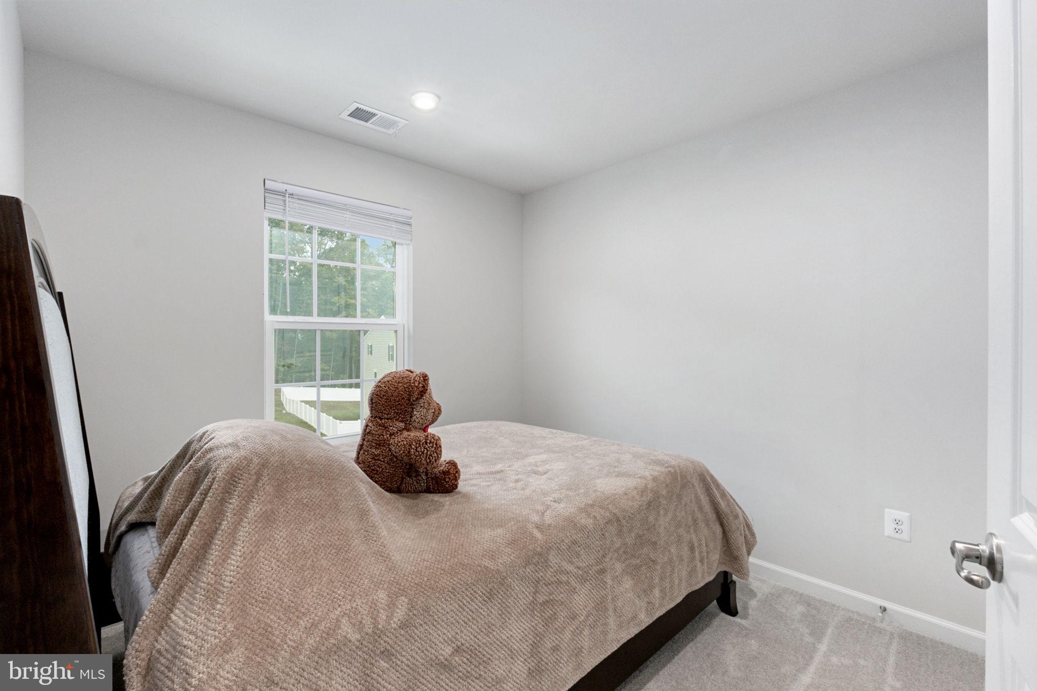 36032 Coyote Trail Locust Grove, VA 22508 - Photo 19 of 27