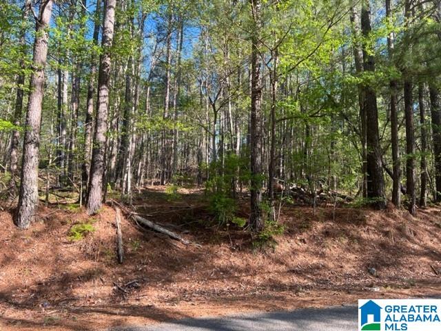 707 Sequoyah Road, Unit 1 Pell City, AL 35128 - Photo 14 of 18