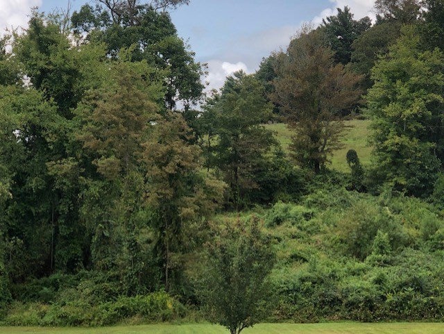 Tbd Cranberry Road, Unit 5 Galax, VA 24333 - Photo 2 of 3 Gallery Image 2