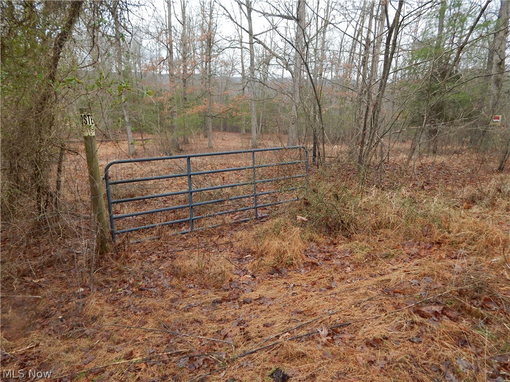 0 Freeport Ridge Road Walker, WV 26180 - Photo 6 of 15