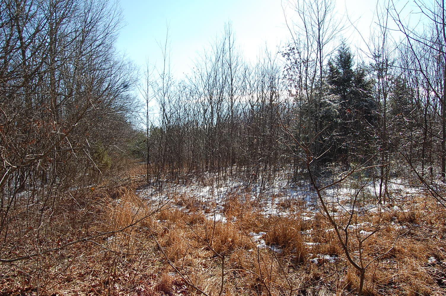 3 Meyers Road Altamont, TN 37301 - Photo 11 of 12 Gallery Image 11