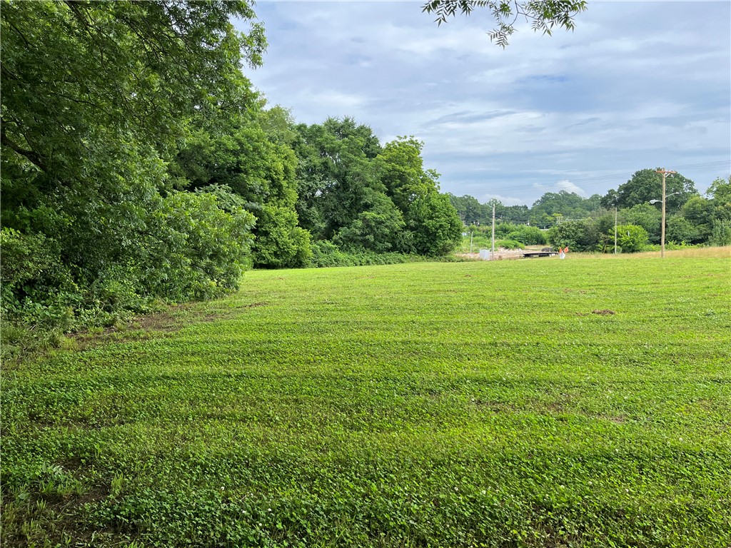 237 East Main Street Pendleton, SC 29670 - Photo 2 of 16 A verdant, open lot awaits your vision, bordered by a dense line of mature trees.