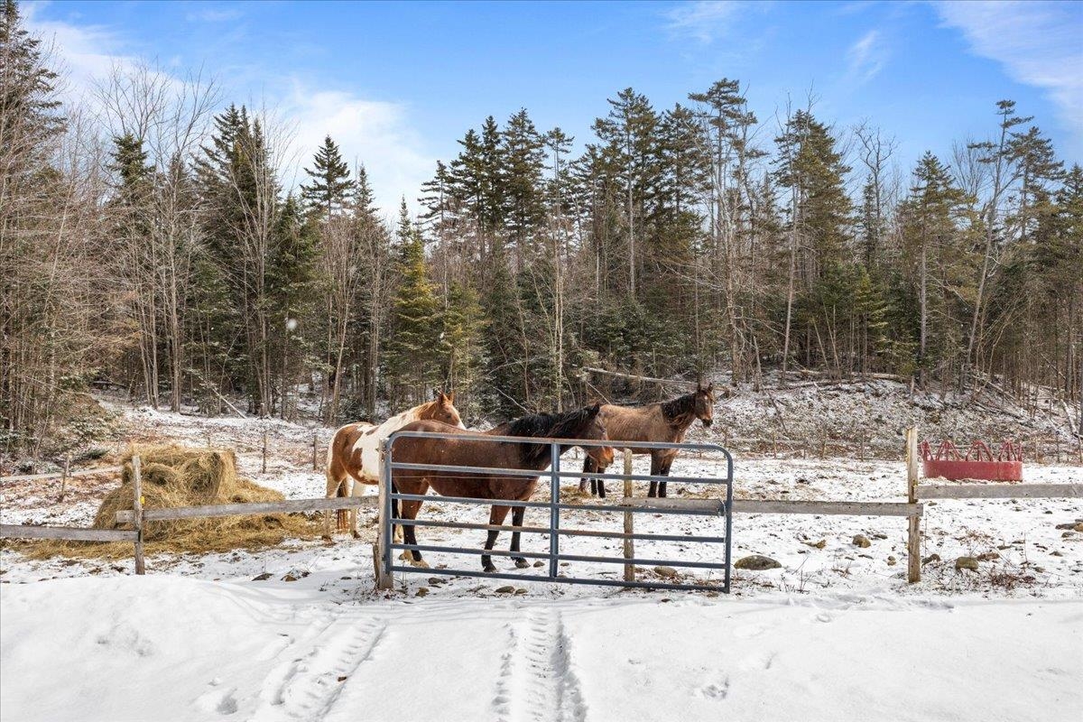 1578 Shover Road Eden, VT 05653 - Photo 34 of 38