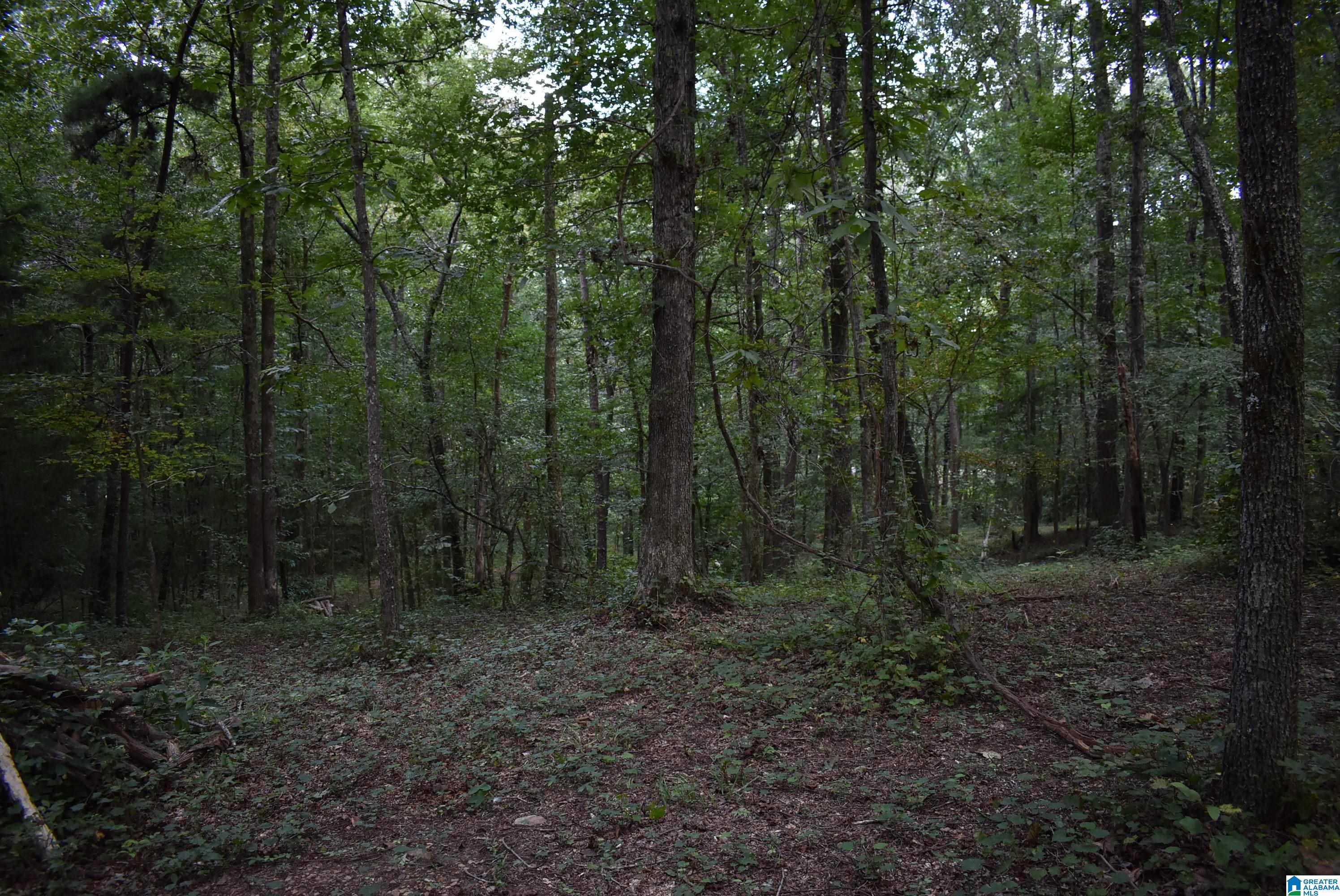 7432 Roper Road, Unit 4 Trussville, AL 35173 - Photo 18 of 19