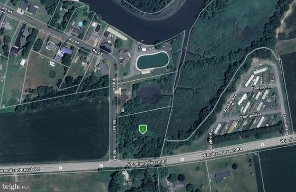 a close view of shoes