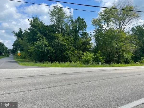 a view of a roadside