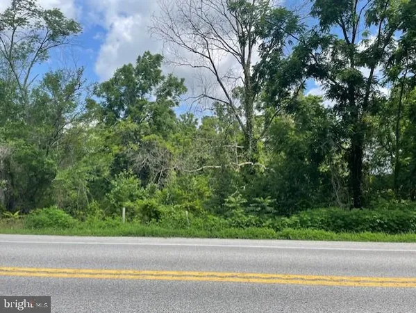 a view of a road from a yard