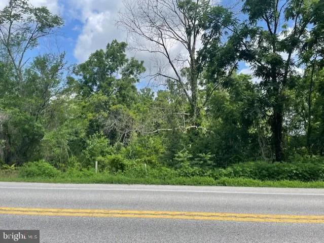 a view of a road from a yard