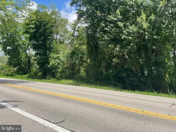 a view of a yard with a trees