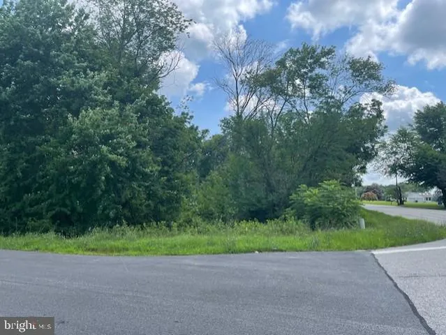 a view of a yard with a house