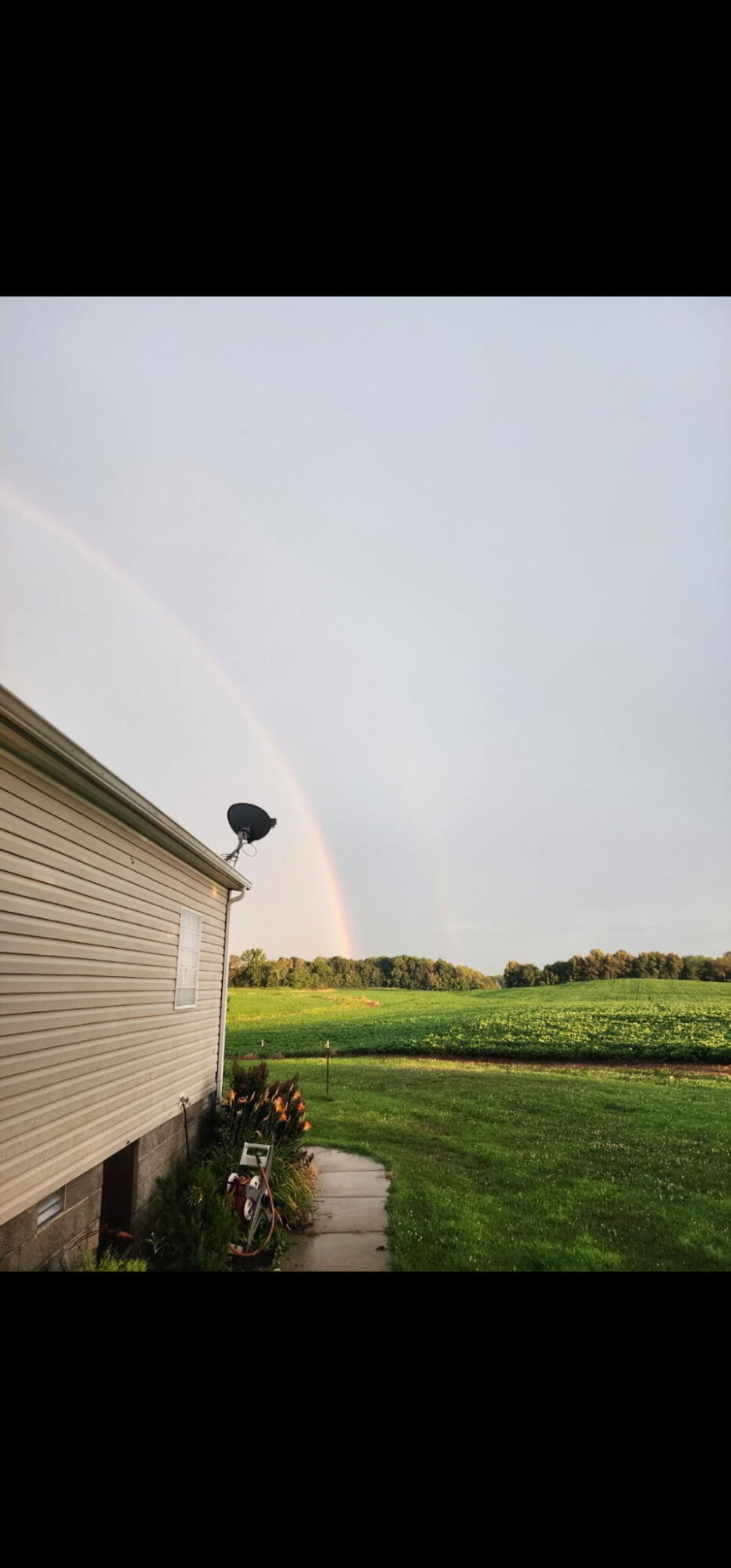 2413 Lowes Road Cunningham, KY 42035 - Photo 41 of 43 55341