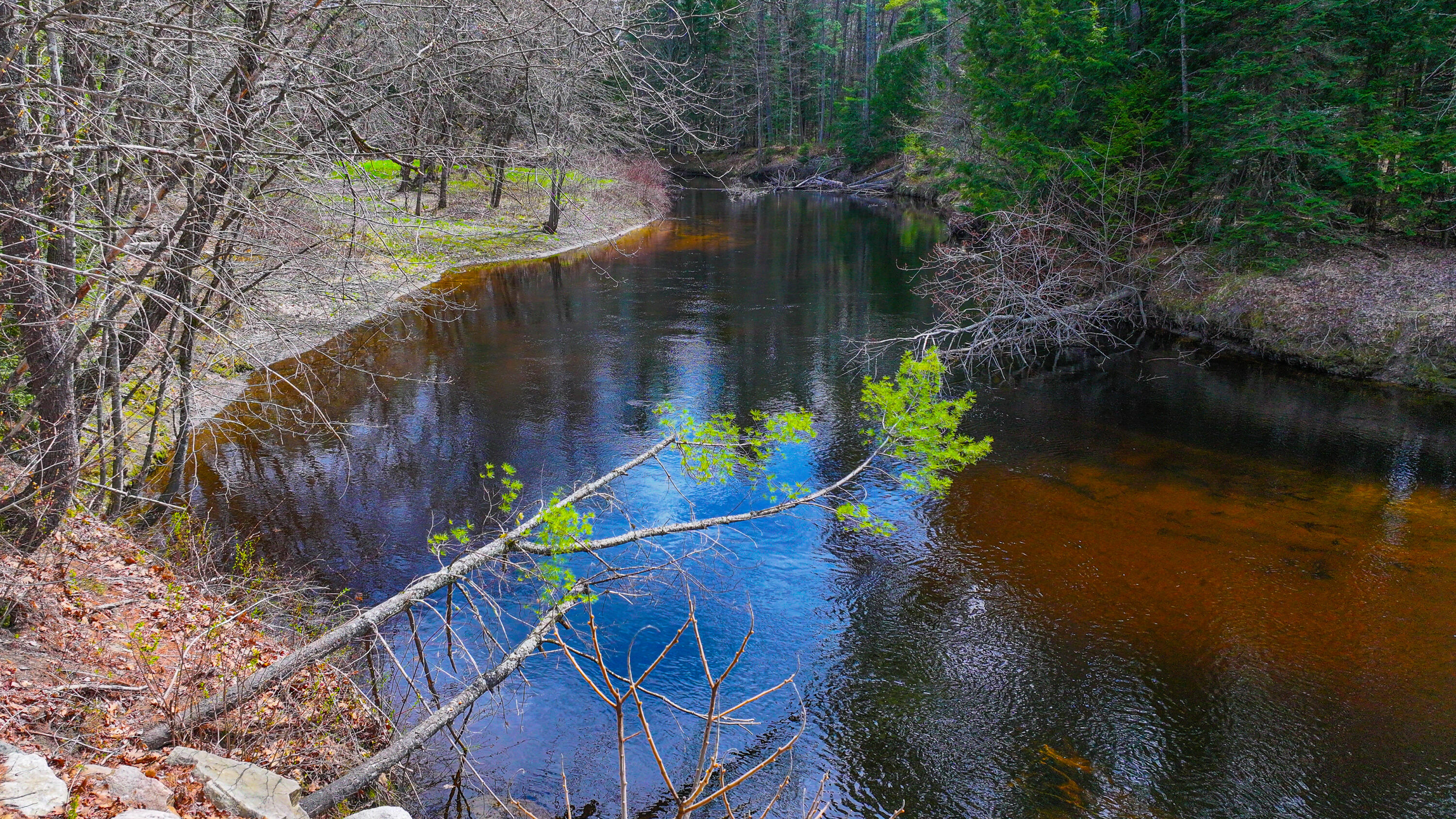 26 Dragon Back Road Naples, ME 04055 - Photo 16 of 40 26 dragonback road-27