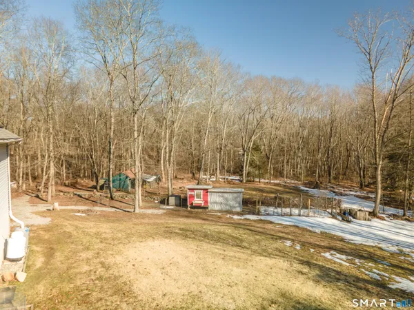 a view of yard with large trees