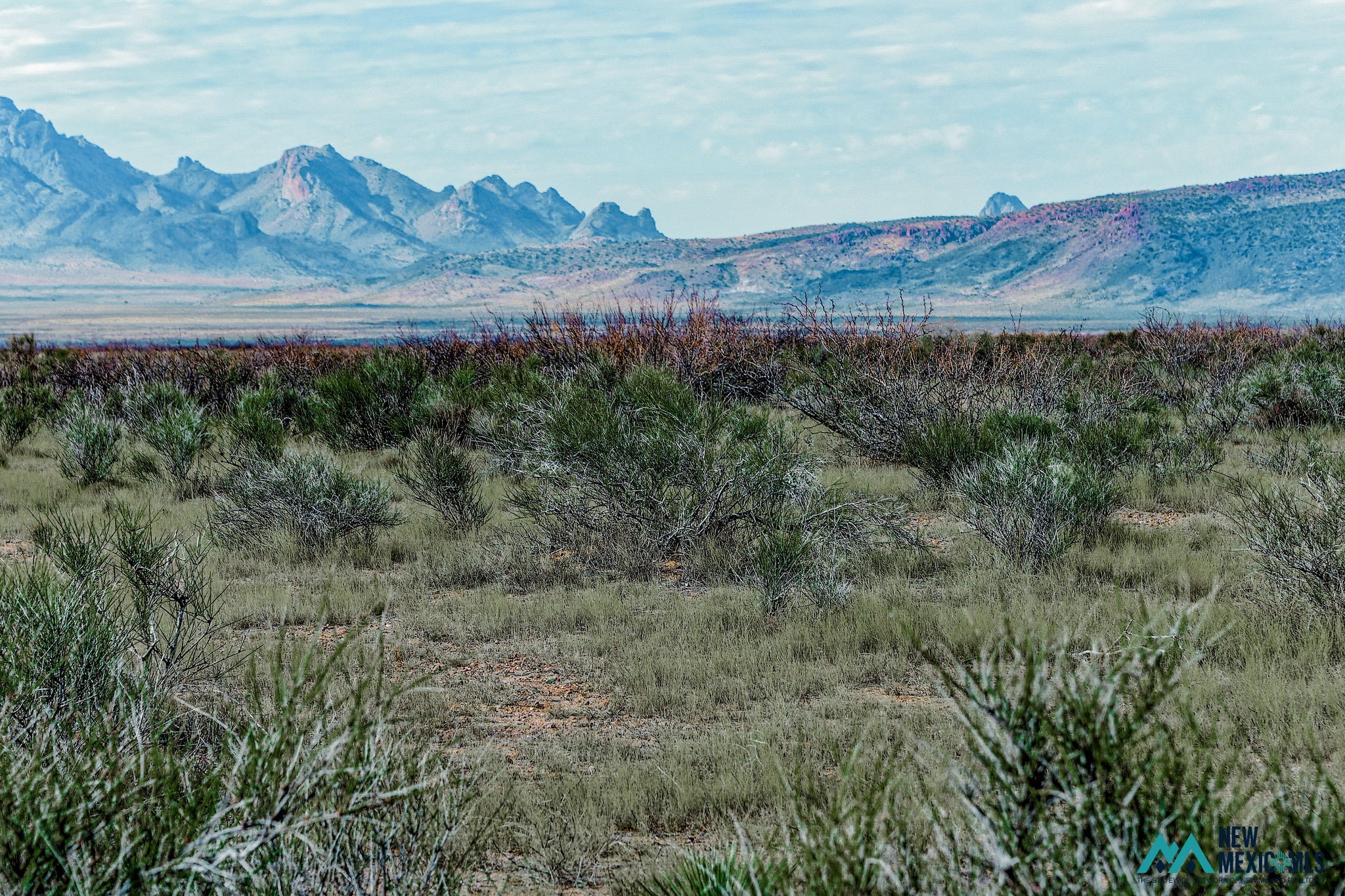 6 Monte Vista Road Southwest Deming, NM 88030 - Photo 3 of 25 Gallery Image 3