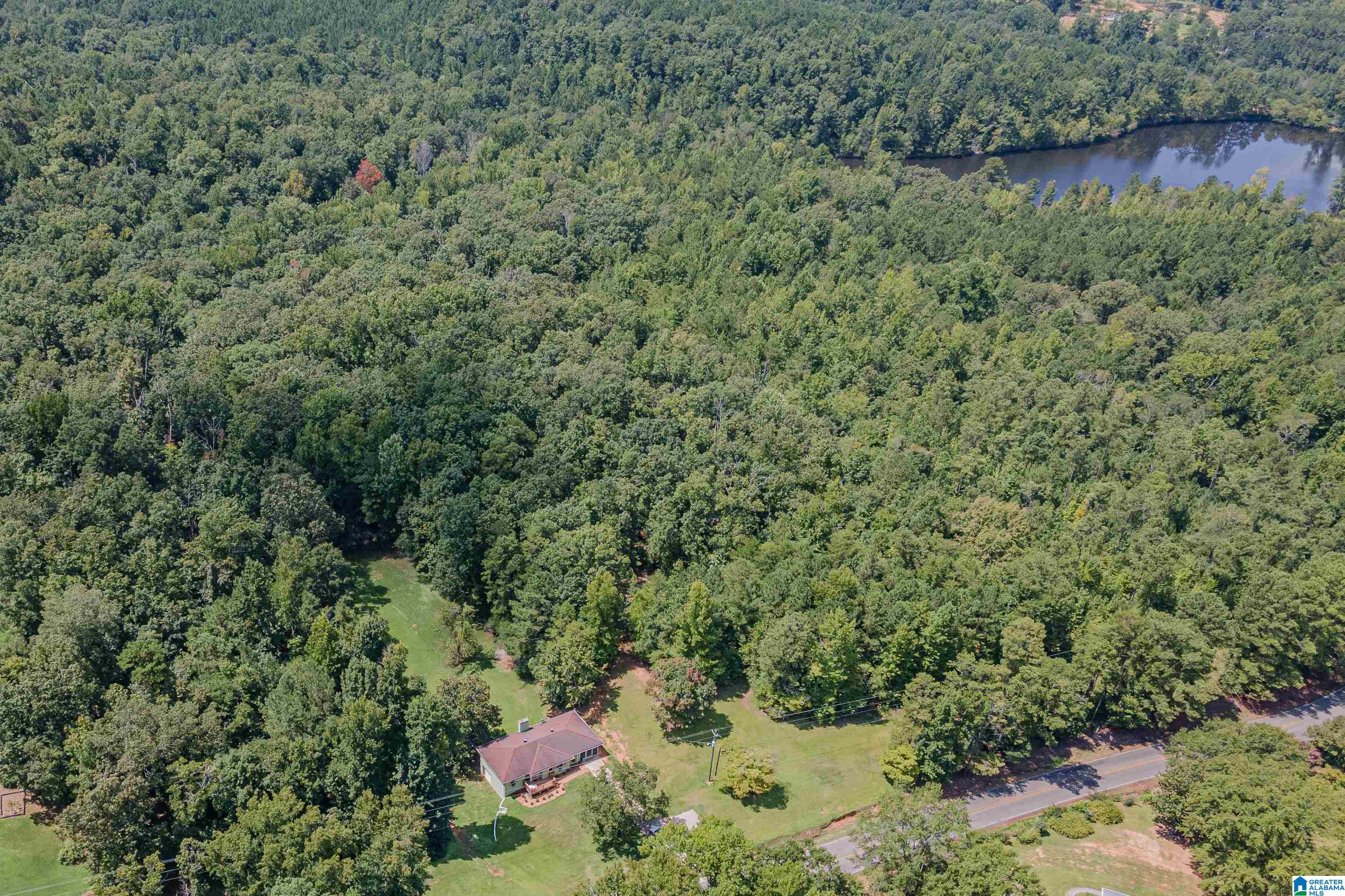 8898 Marsh Mountain Road Pinson, AL 35126 - Photo 3 of 28