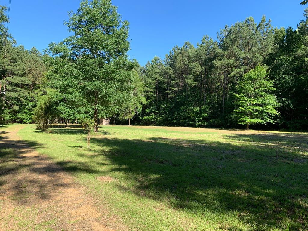 1159 Long Lane Summit, MS 39666 - Photo 1 of 11 Main View