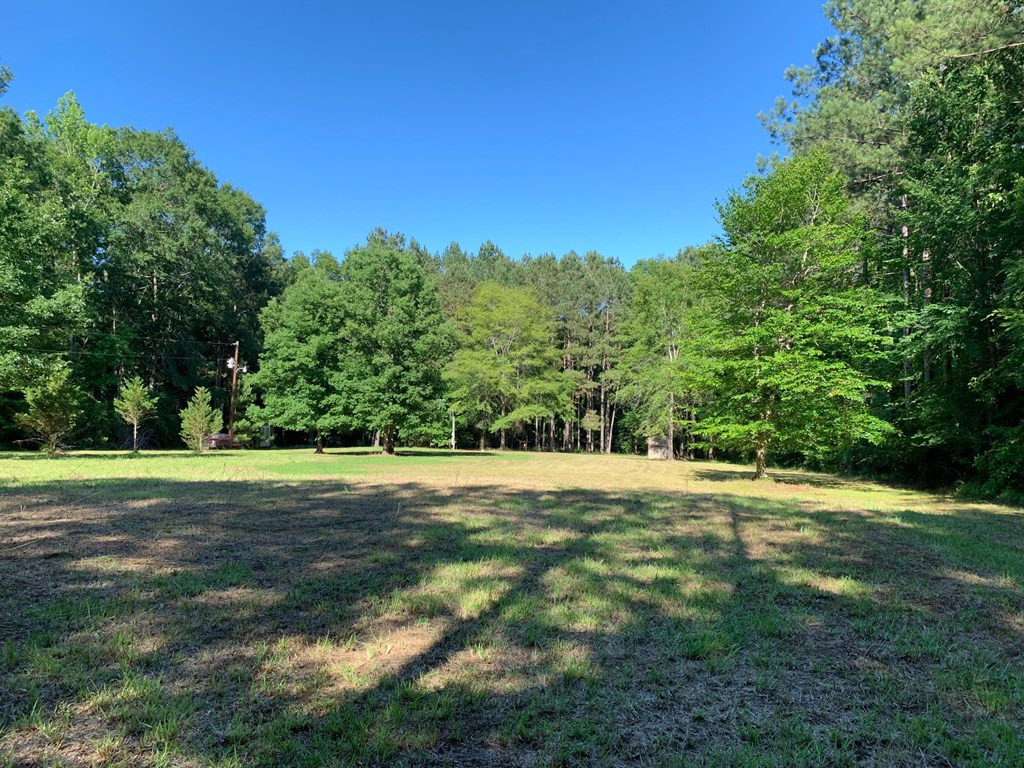 1159 Long Lane Summit, MS 39666 - Photo 3 of 11 Photo 3