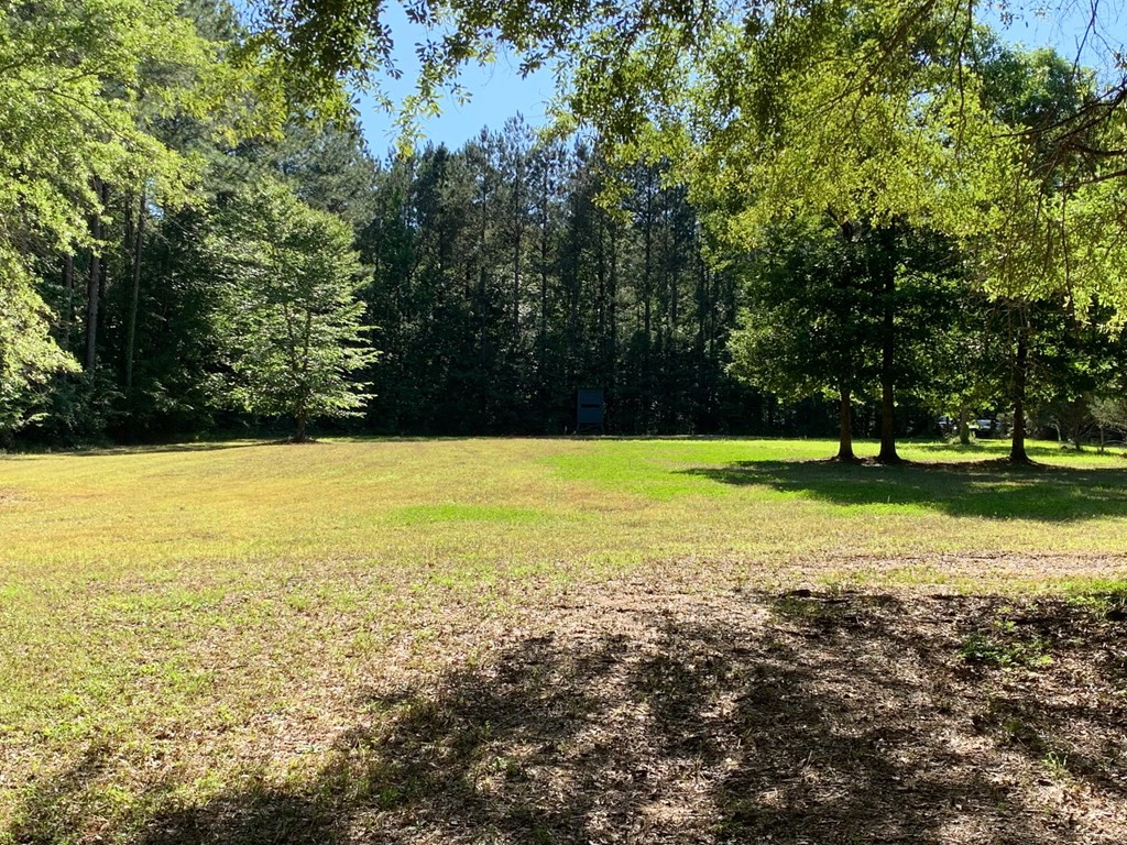 1159 Long Lane Summit, MS 39666 - Photo 5 of 11 Photo 5
