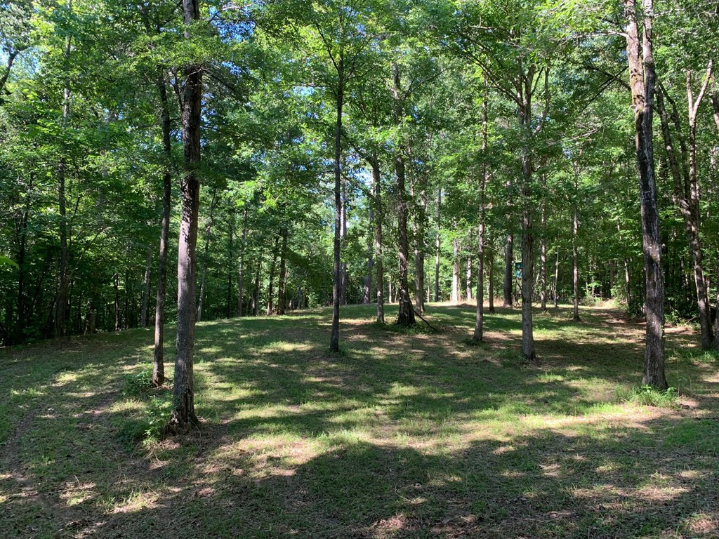 1159 Long Lane Summit, MS 39666 - Photo 8 of 11 Photo 8