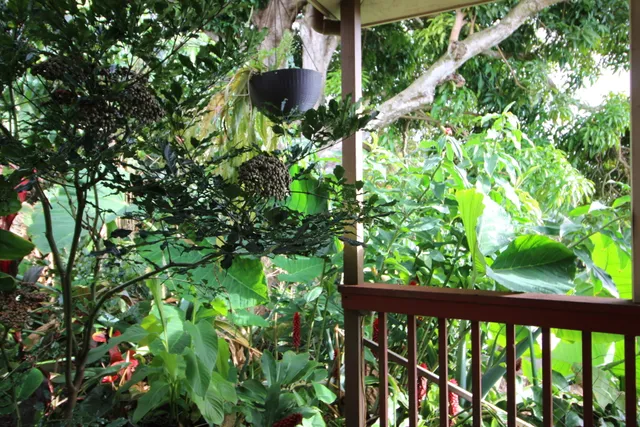 a view of balcony with wooden floor