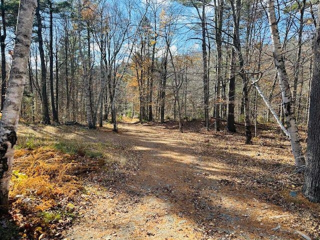 2378 Deer Park Road Halifax, VT 05301 - Photo 23 of 37