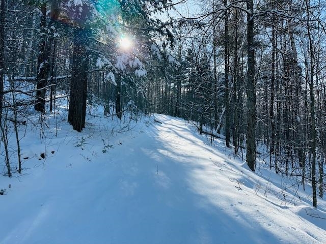 2378 Deer Park Road Halifax, VT 05301 - Photo 24 of 37