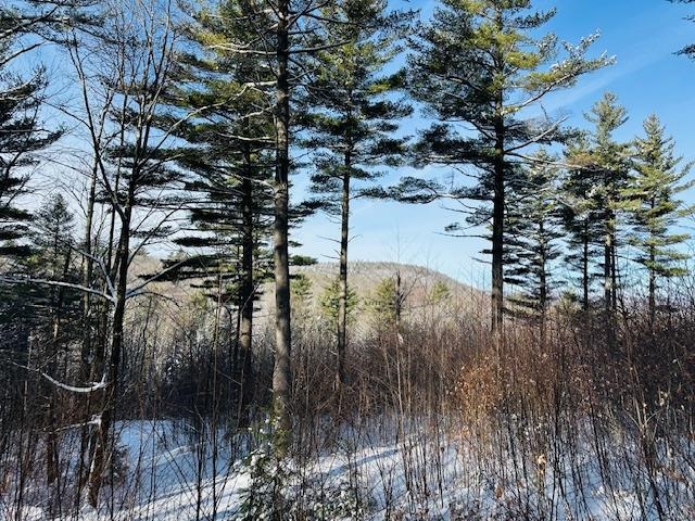 2378 Deer Park Road Halifax, VT 05301 - Photo 29 of 37