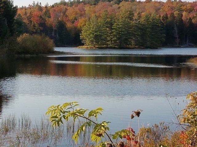 2378 Deer Park Road Halifax, VT 05301 - Photo 37 of 37