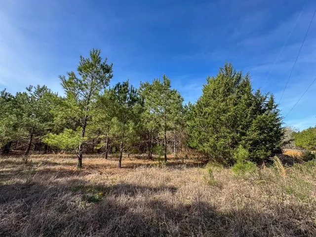 a view of a road with a building in the background