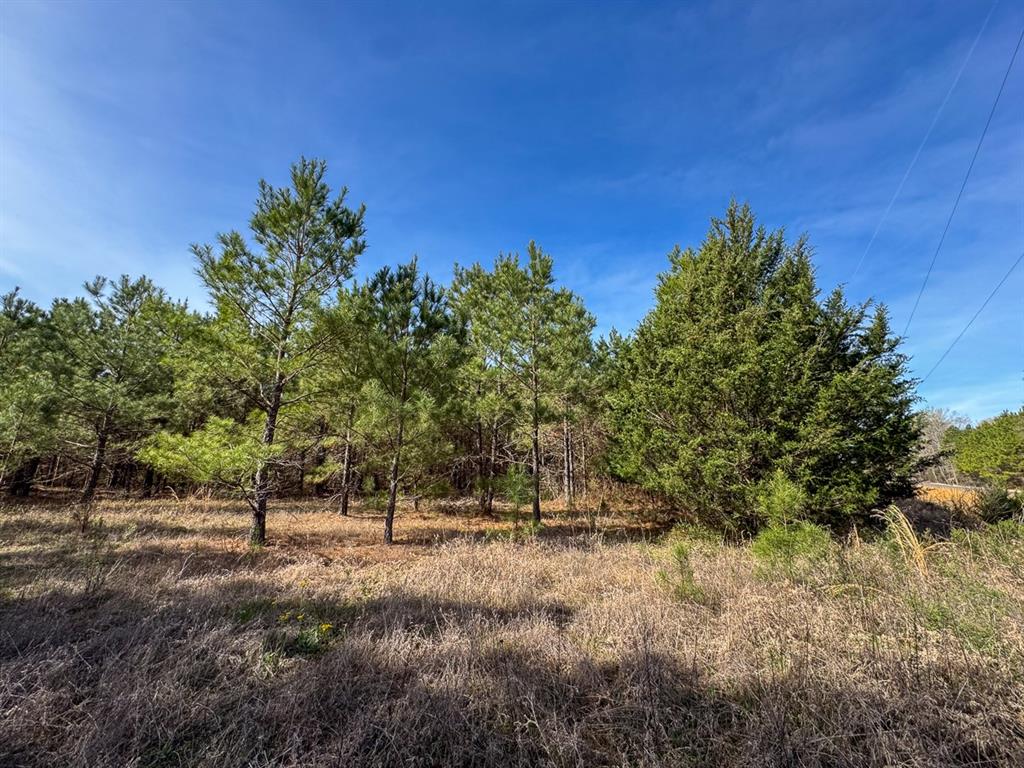 3 La 168 Rodessa La Rodessa, LA 71069 - Photo 14 of 23 a view of outdoor space and yard